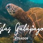 BUCEAR EN LAS GALAPAGOS